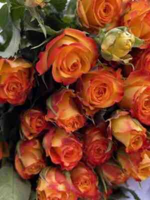 ajlajner-1.jpg Айлайнер (Eyeliner)