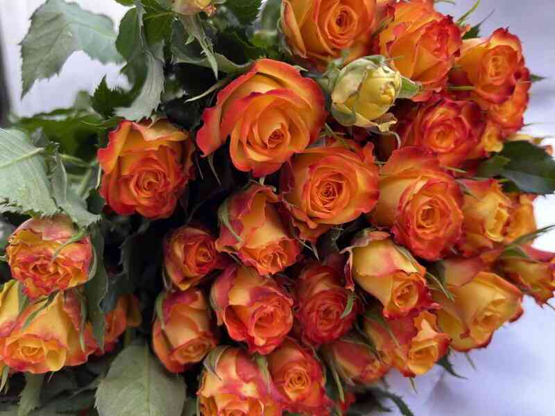 Айлайнер (Eyeliner)