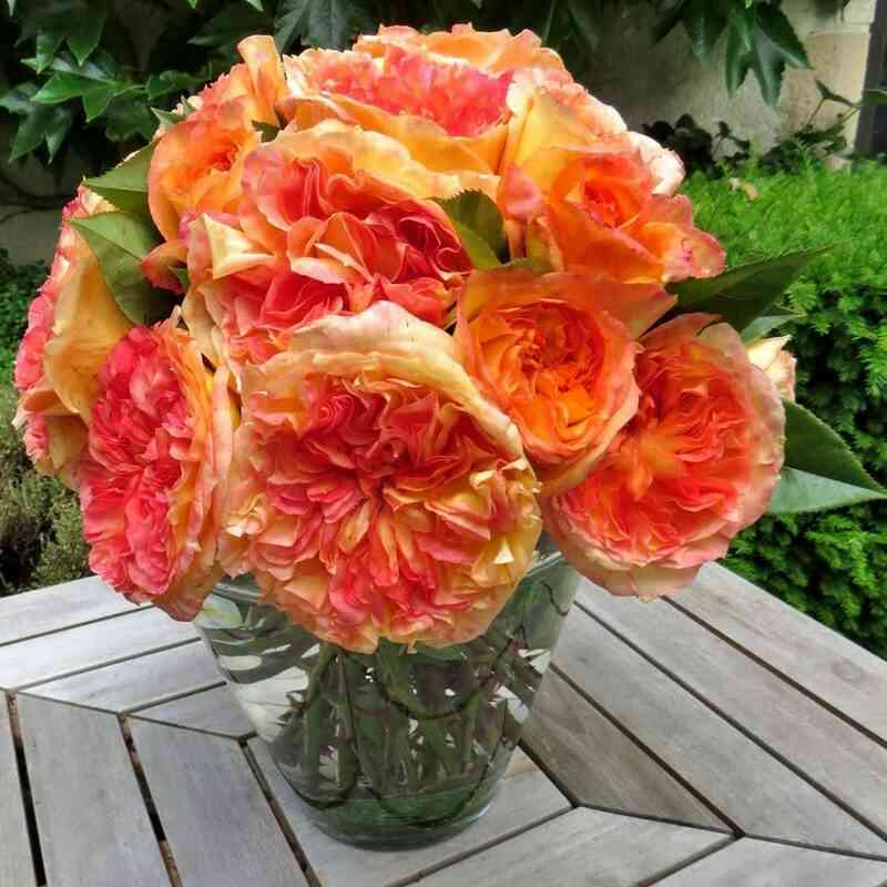 anri-delbar1.jpg Анри Дельбар (Henri Delbard)