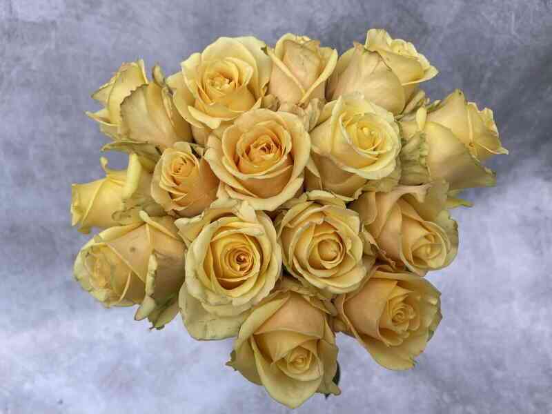 Баттерскотч (Butterscotch)