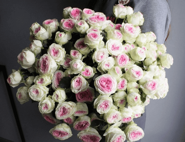 Джелато (Gelato)