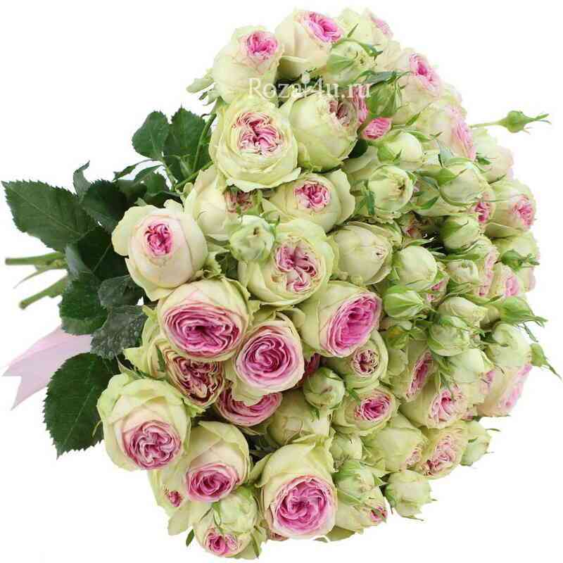 Джелато (Gelato)