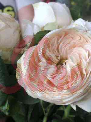 Эмма Вудхаус (Emma Woodhouse)