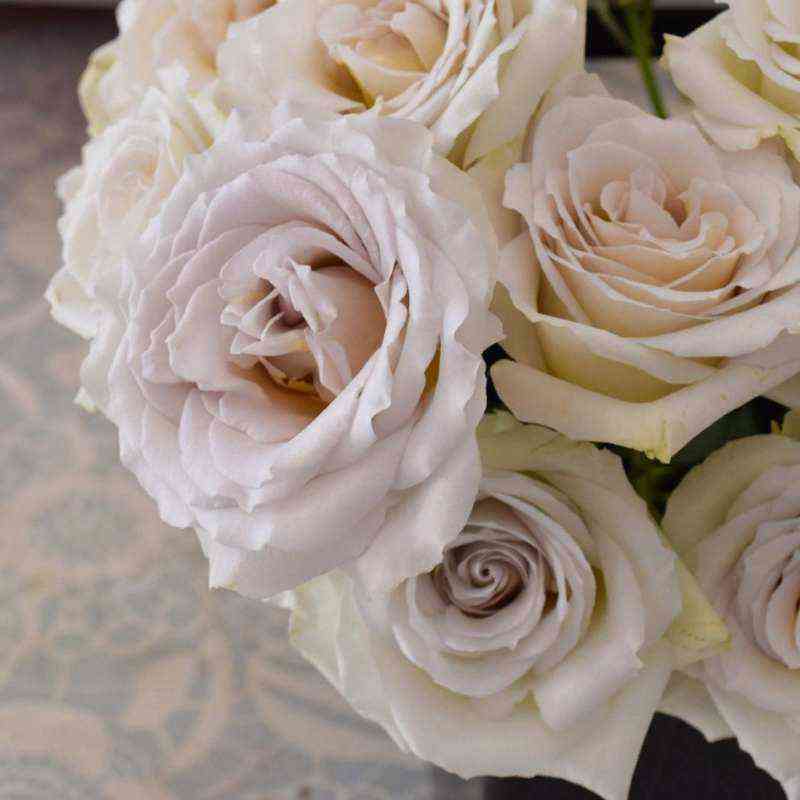 Эрл Грей (Earl Grey)