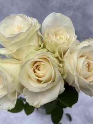 fo-sizons.jpg Фо Сизонс (Four Seasons)