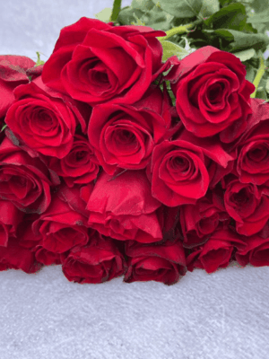 fridom.png Фридом (Freedom)