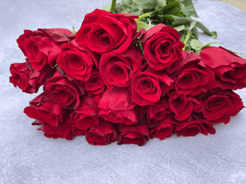 Фридом (Freedom)