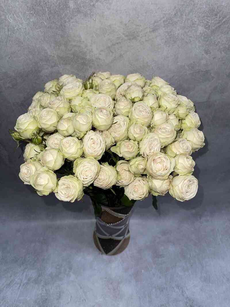 Галина (Galina)