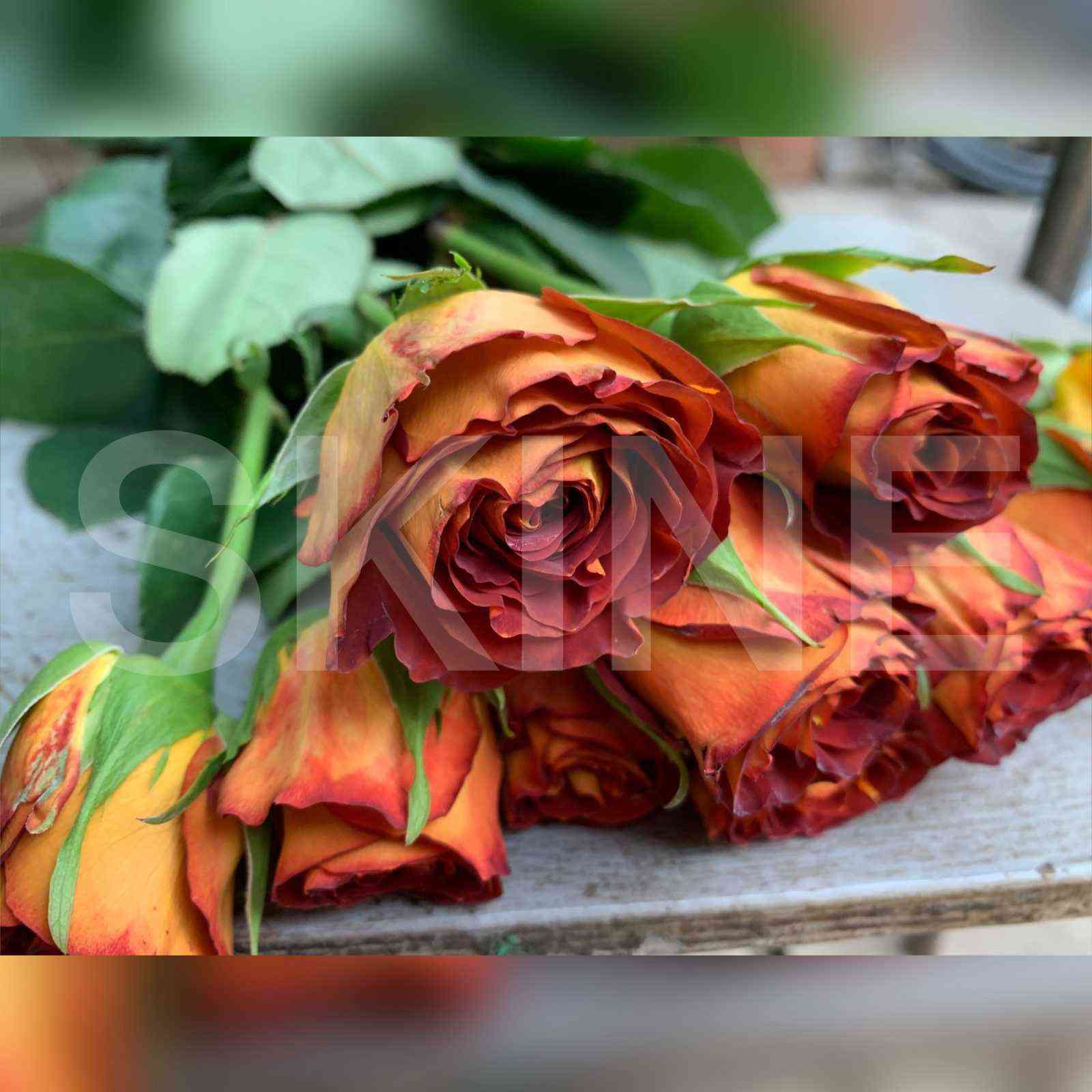 Хот Рок (Hot Rock)