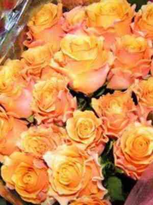 hotkarpediem_xotcarpediem_optimized.jpg Хот Карпе Дием (Xot Carpe Diem)