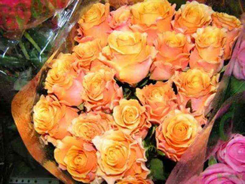 Хот Карпе Дием (Xot Carpe Diem)