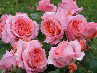 institutlyum_er_institutlumiere_optimized.jpg Институт Люмьер (Institut Lumiere)