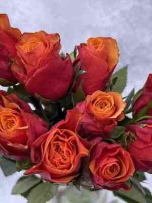 Эспана (Espana)