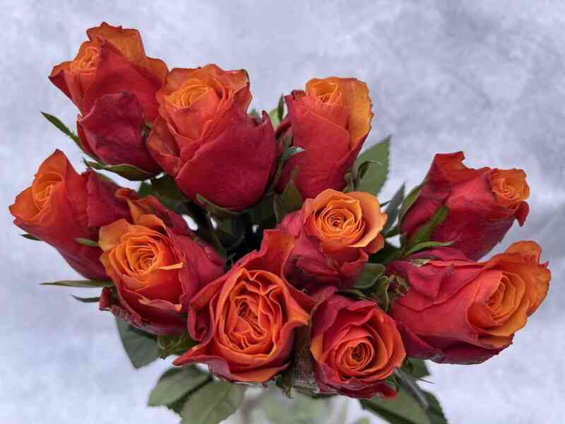 Эспана (Espana)