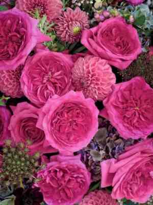 kapabiliti.jpg Капабилити (Capability)