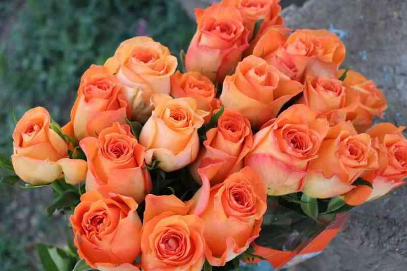 Кингс дей (Kings Day)