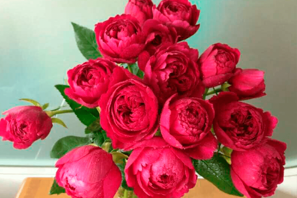 Лигар- 230 (Ligare- 230)