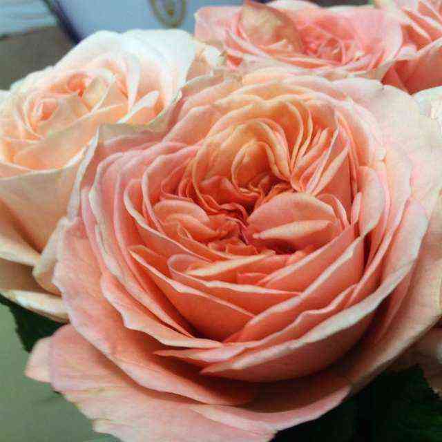 Лондон Ай (London Eye)