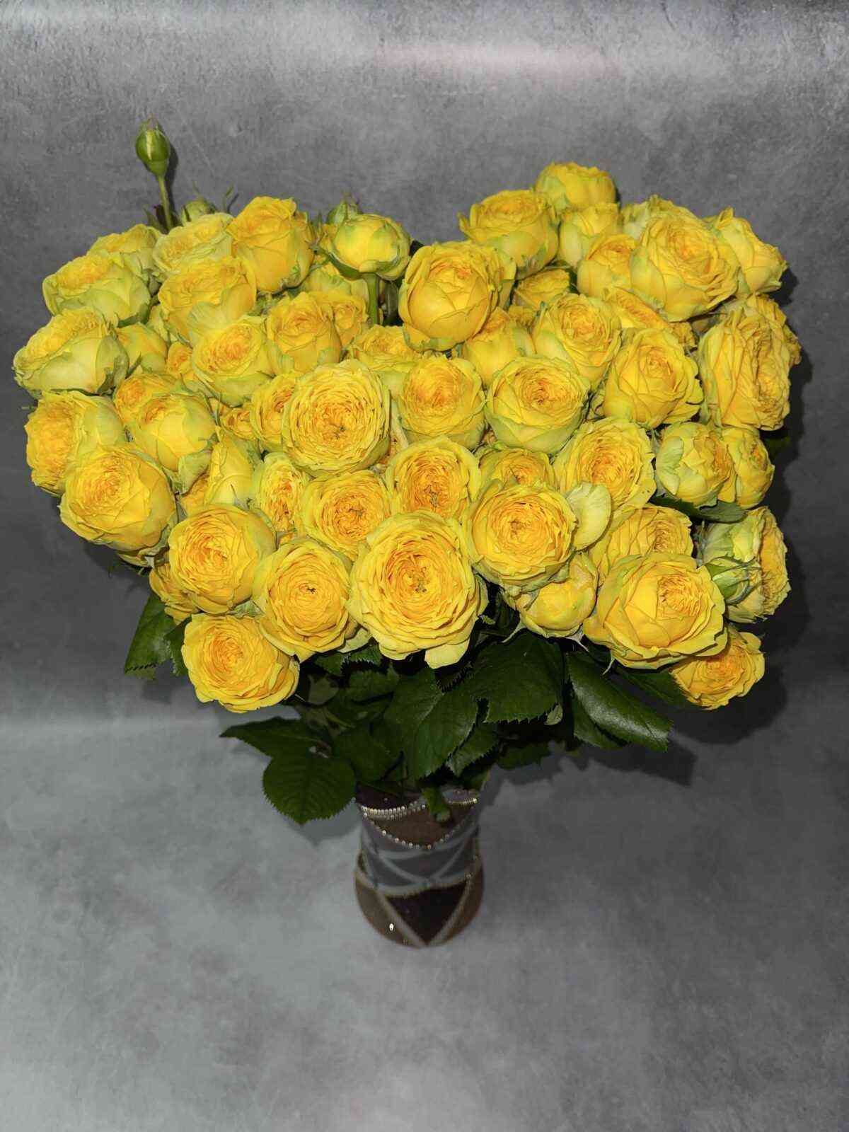 luna-trensedtr-rotated-1.jpg Луна Трендсеттер (Luna Trendsetter)