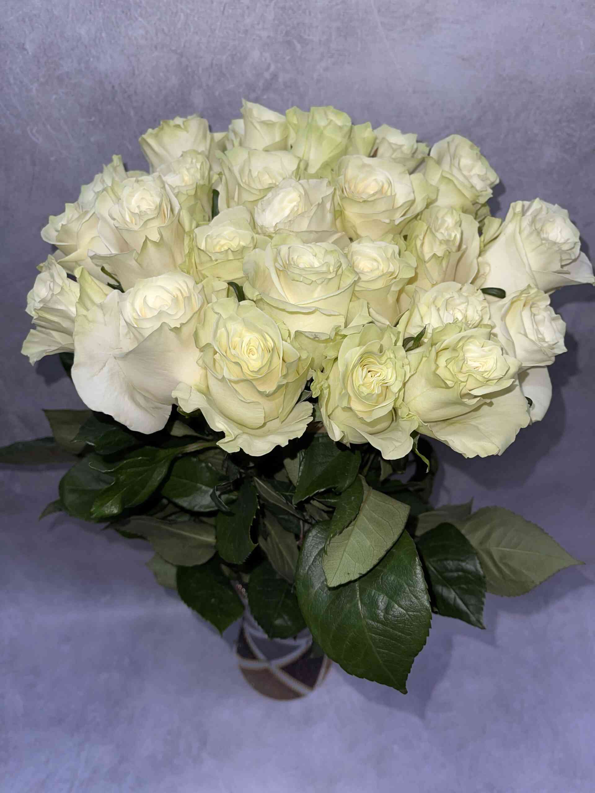 Мондиаль (Mondial)