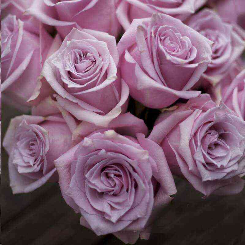 Наутика (Nautica)