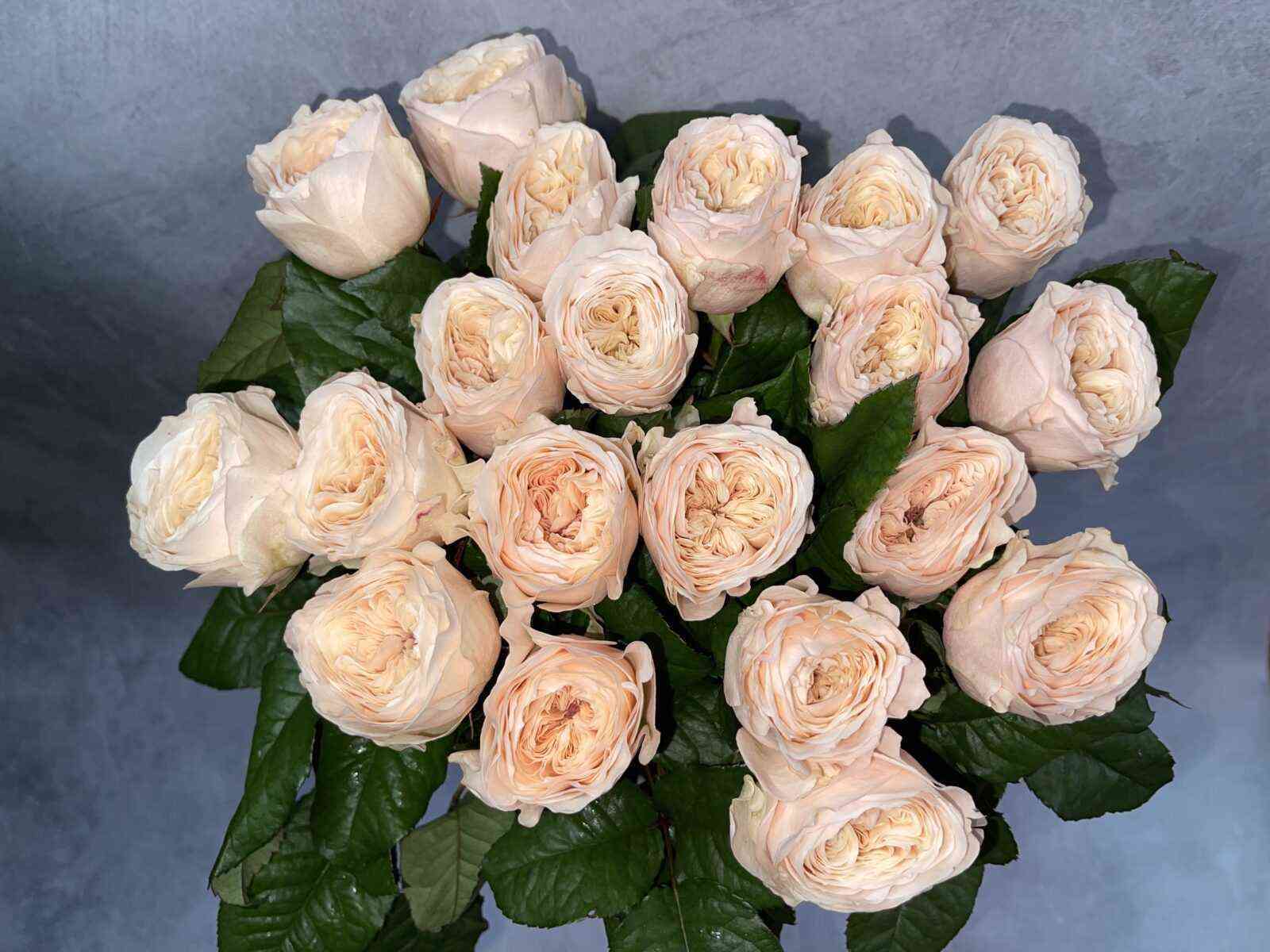 Парадиз Бич (Paradise Beach)