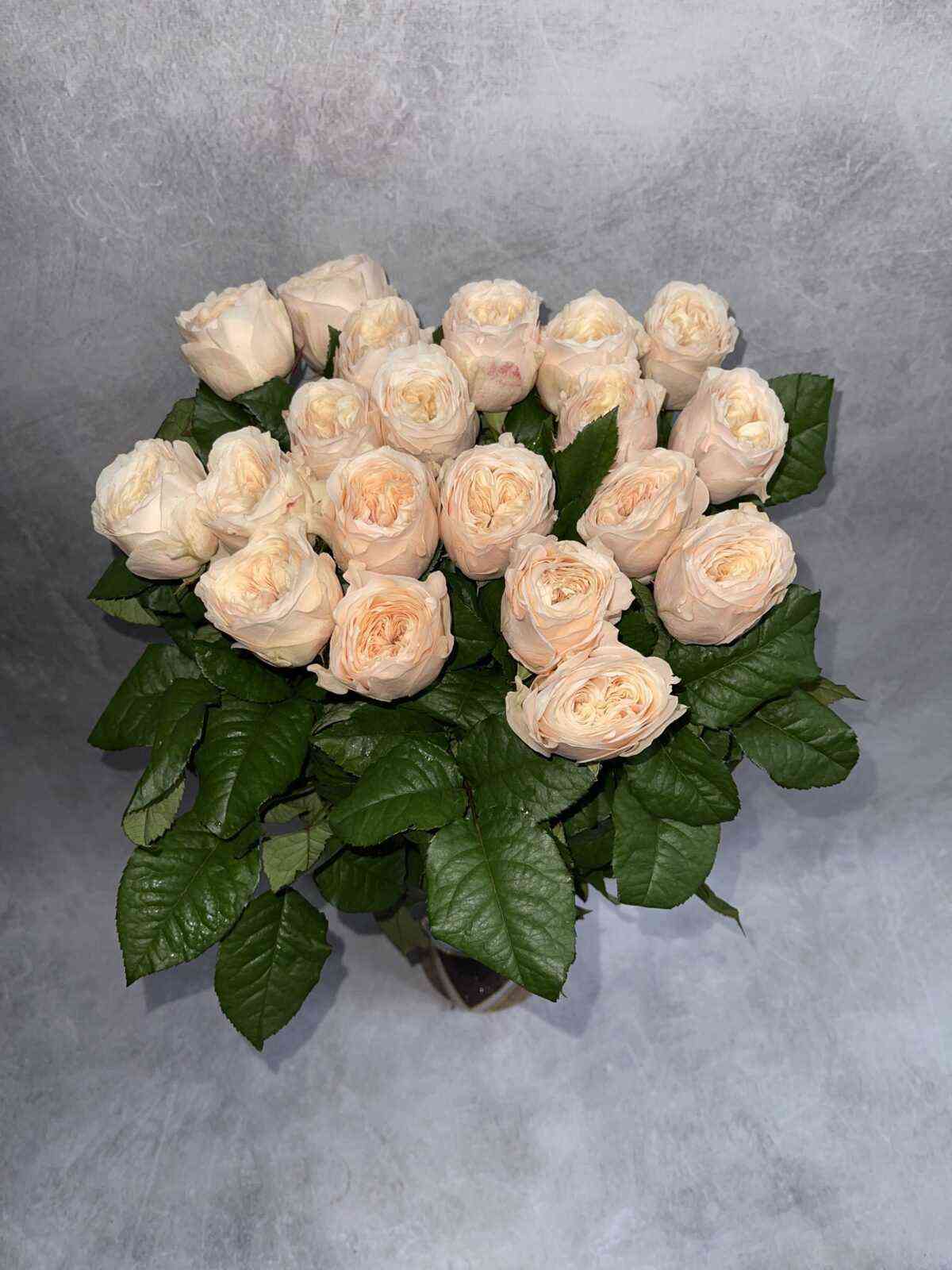 Парадиз Бич (Paradise Beach)