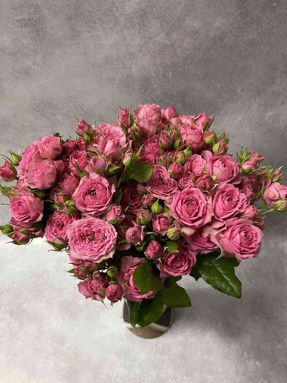 Пинк Дайменшенс (Pink Dimensions)