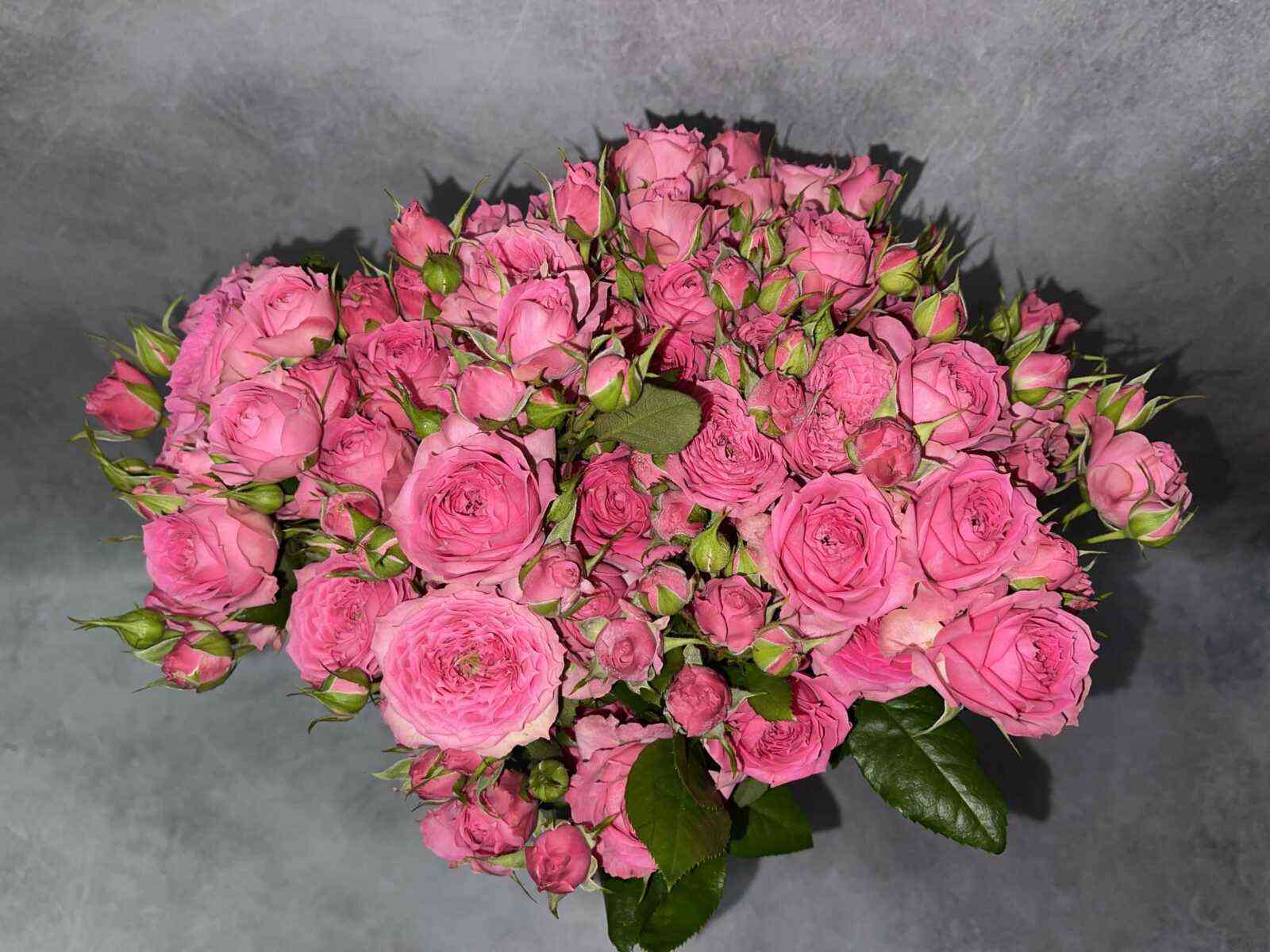 Пинк Дайменшенс (Pink Dimensions)