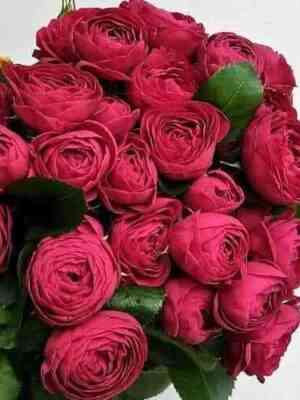 Руби Бижу (Ruby Bijoux)