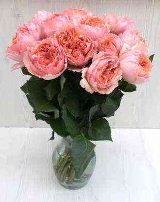 salmanasar_salmanasar_optimized.jpg Салманасар (Salmanasar)