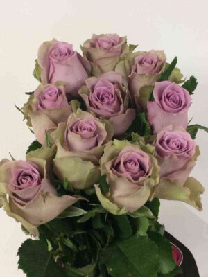 samanta_bridal.jpg Саманта Бридал (Samantha’s Bridal)