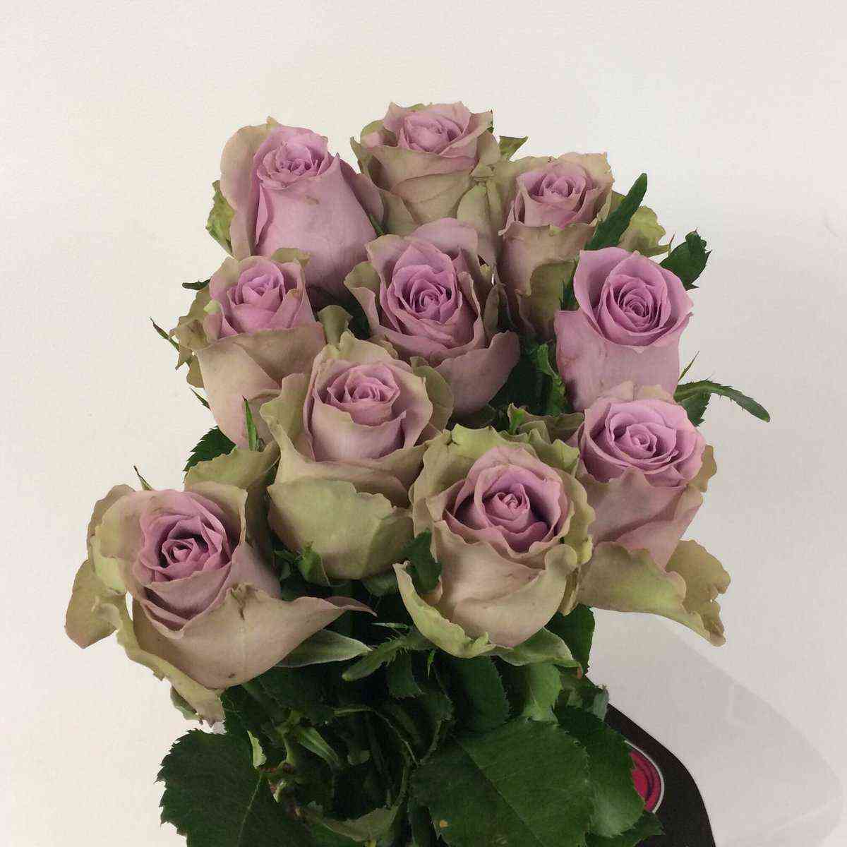 Саманта Бридал (Samantha’s Bridal)