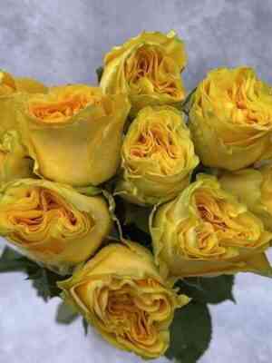 Санта Фе (Santa Fe)