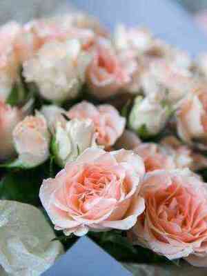 Сари Мини (Sari Mini)