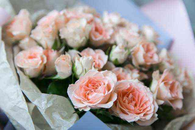 Сари Мини (Sari Mini)