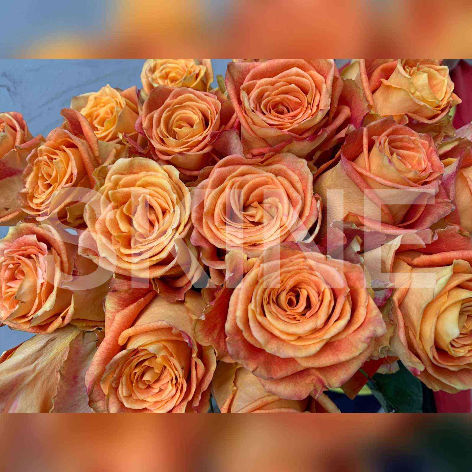 Силантой (Silantoi)