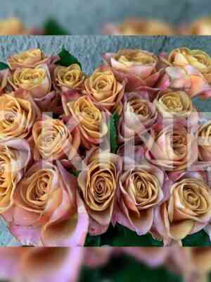 simvol_symbol.jpg Символ (Symbol)