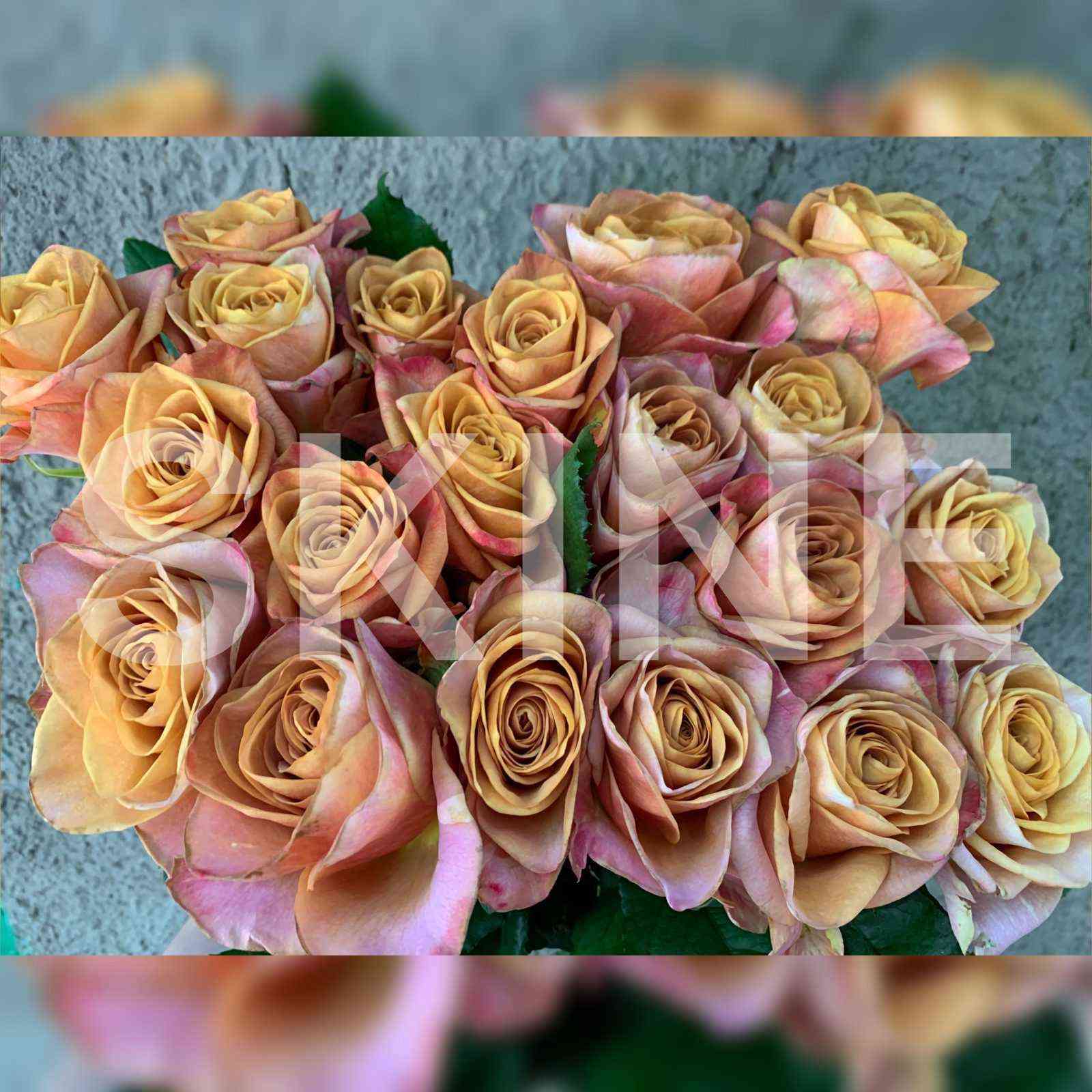 Символ (Symbol)