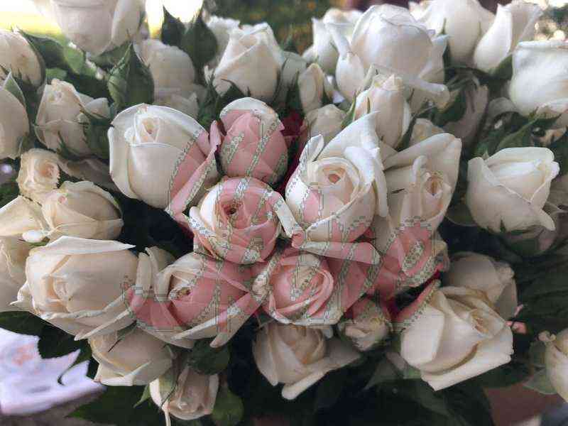 Сноу Балет (Snow Ballet)