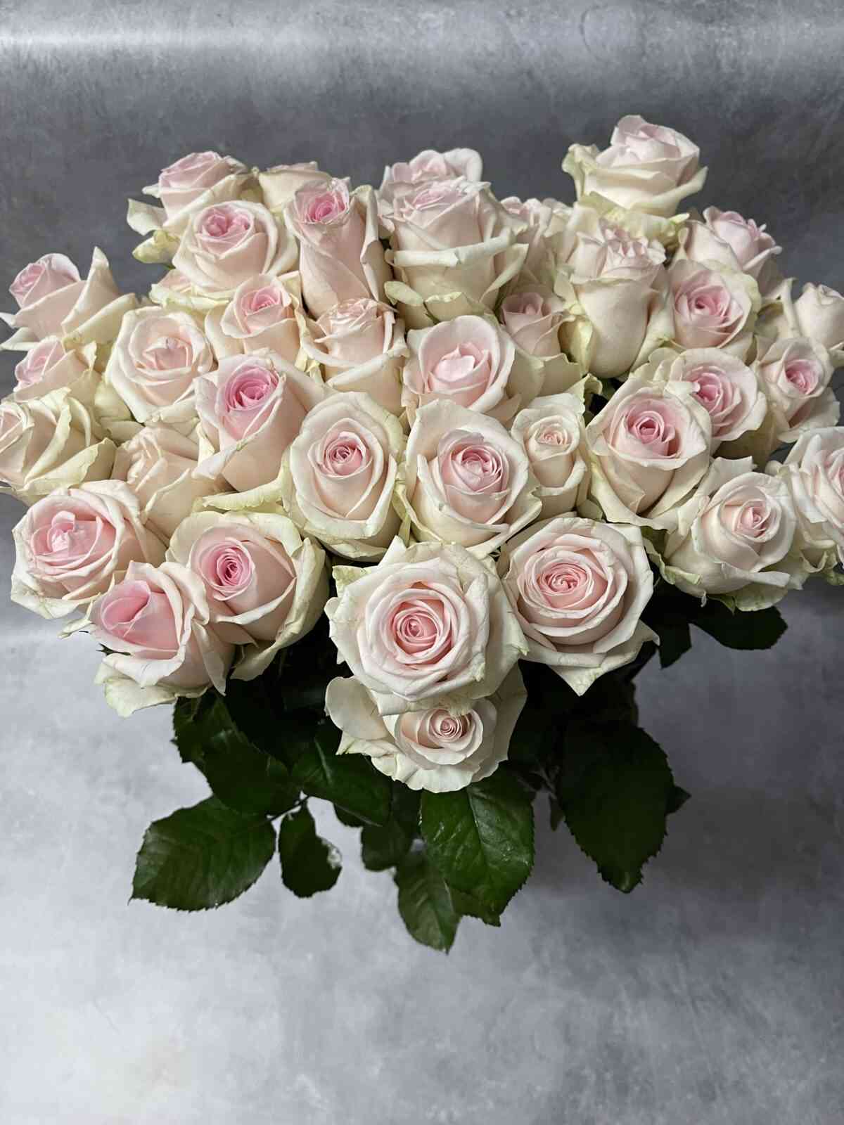 Свит Ревивал (Sweet Revival)