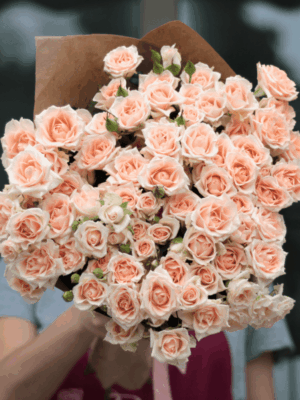 Свит Сара (Sweet Sara)