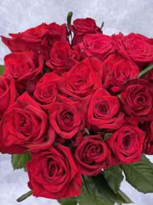 tru-lav.jpg Тру Лав (True Love)