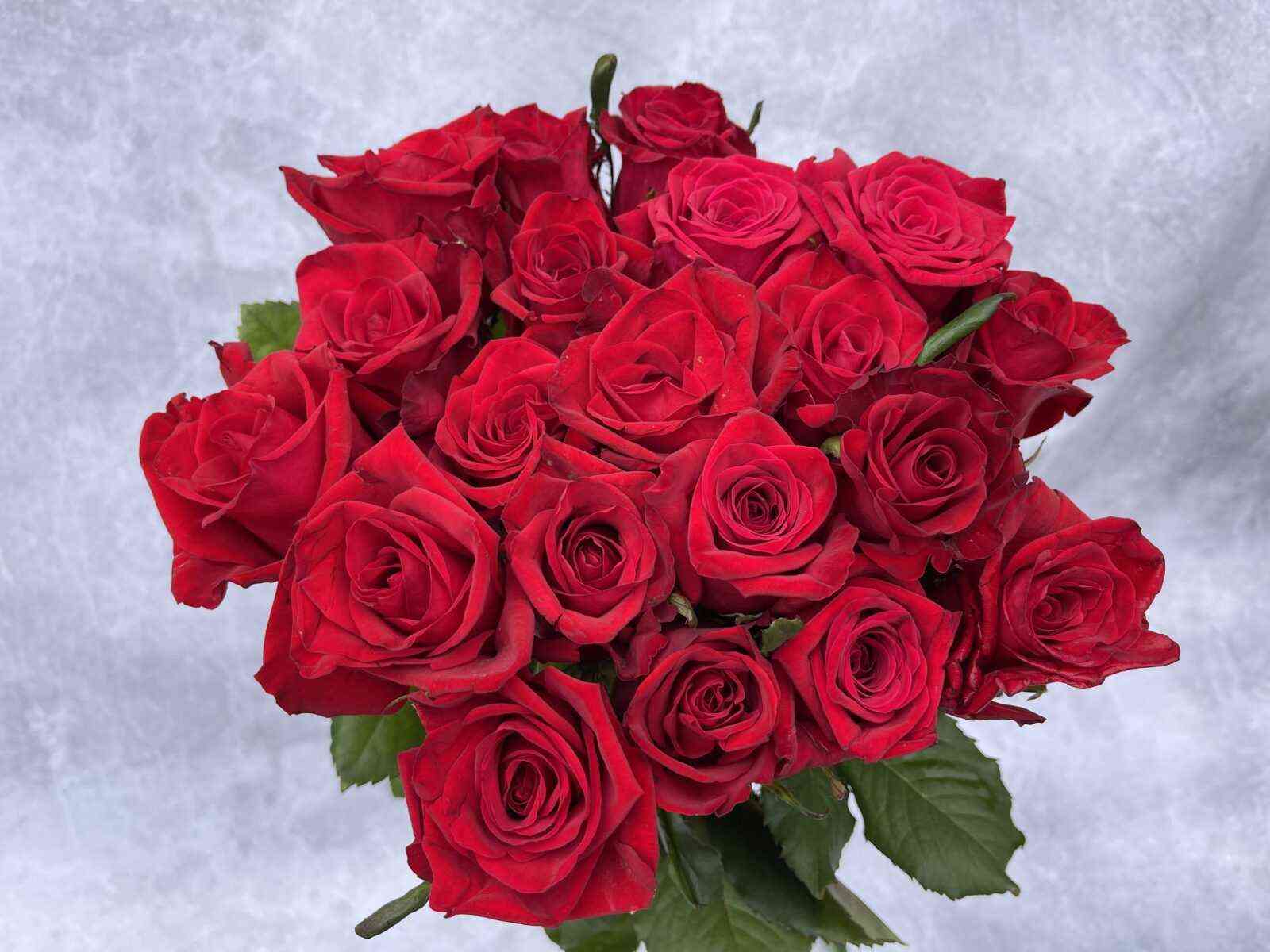 tru-lav.jpg Тру Лав (True Love)