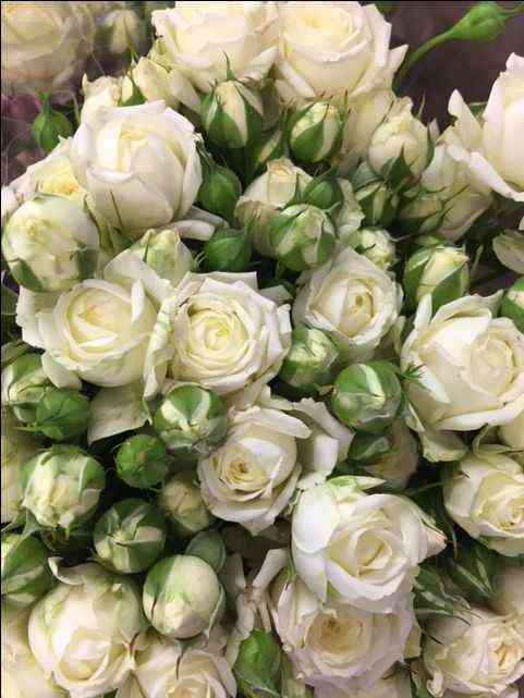 vajt-bablz.jpg Вайт Баблз (White Bubbles)