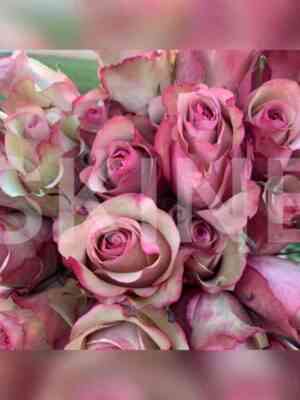 vintazh.jpg Винтаж (Vintage)