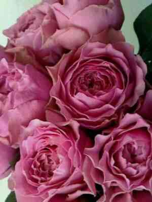 Волнистая Рябь (Wavy Ripples)