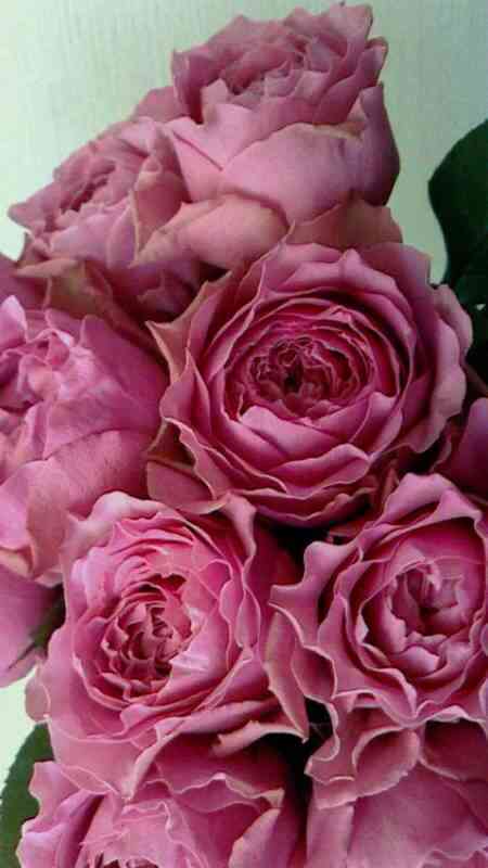 volnistaya-ryab-wavy-ripples_optimized.jpeg Волнистая Рябь (Wavy Ripples)