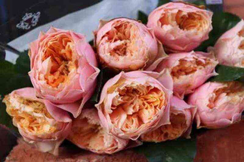 Вувузела Романтик (Vuvuzela Romantic)