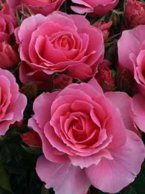 Ю Ар Бьютифул (You're Beautiful)